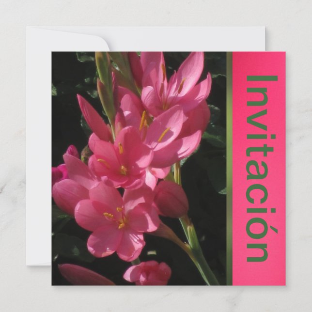 Invitation Invitación - Fiesta de Cumpleaños - Rosa (Devant)