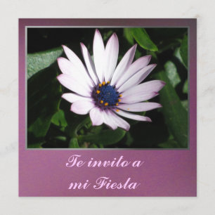 Invitation Invito d'Invitación - de Te une fiesta de MI -