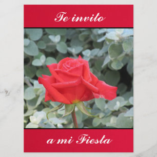 Invitation Invito d'Invitación - de Te une fiesta de MI - La