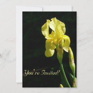 Invitation Iris jaune
