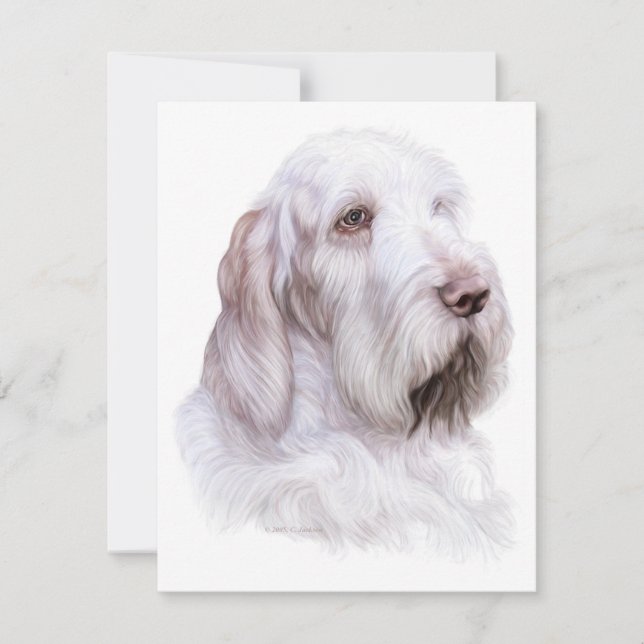 Invitation Italien Spinone Italiano (Devant)