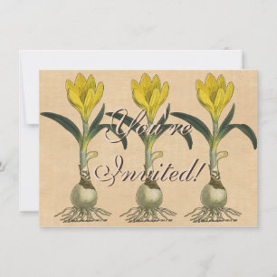 Invitation Jardin botanique de tulipe Amaryllis Fleur