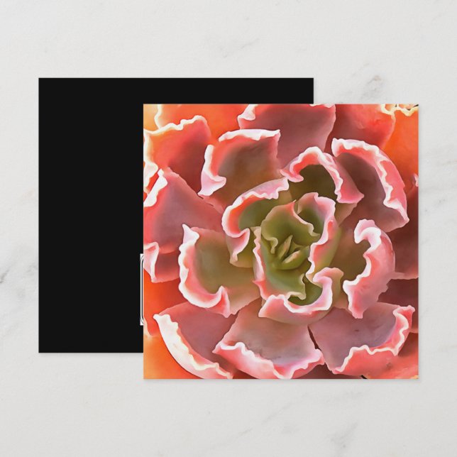 Invitation Jardin superbe Les tons roses Succulents Art réali (Devant / Derrière)