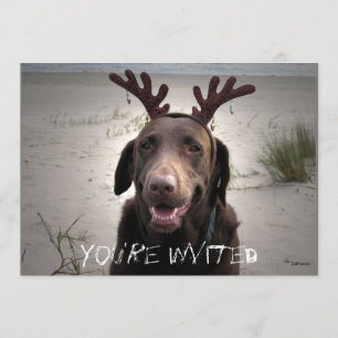 Invitation Je suis prêt