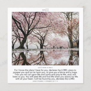 Invitation Jeremiah 29:11 - 14 GOD'S PROMISE SCRIPIX