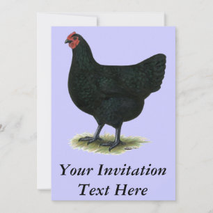 Invitation Jersey Giant : Black Hen