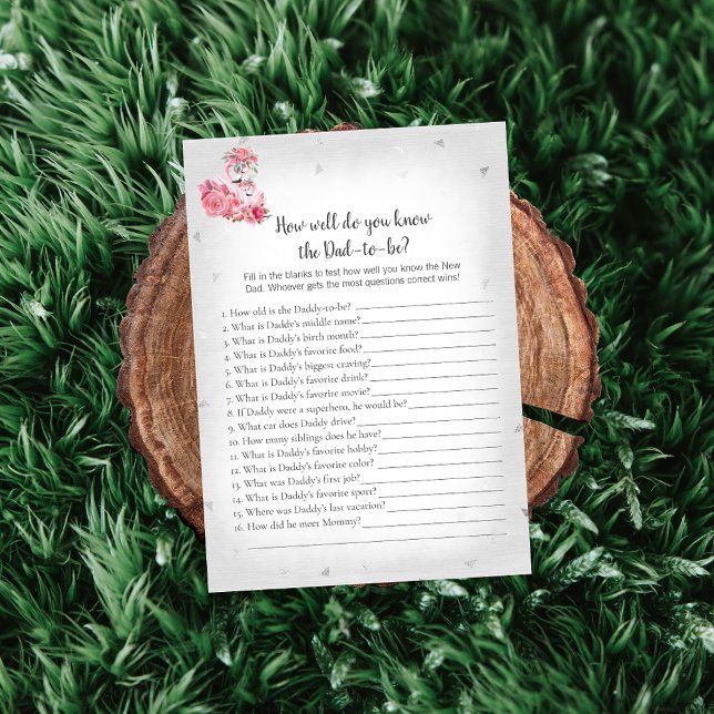 Invitation Jeu de baby shower Flamingo Argenté Ballerine Qui  (Créateur téléchargé)