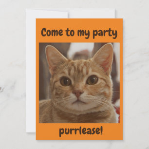 Invitation Jeu d'yeux brun de chat gingembre purse orange