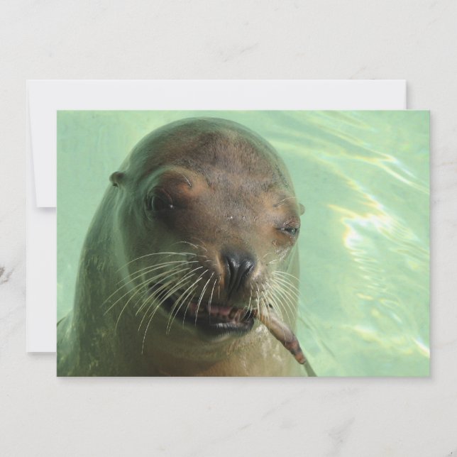 Invitation Joint avec l'invitation de poissons (Devant)