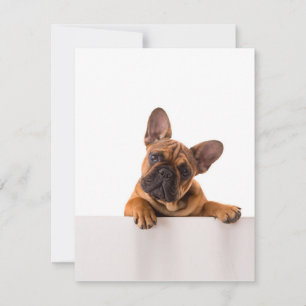 Invitation Joli Bouledogue   Vraiment Mignon, Bouledogue Angl
