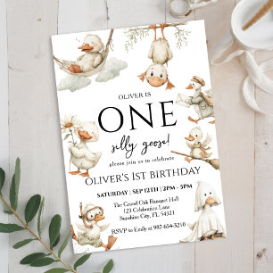 Invitation joli fou d'oie ,Un Fou D'oie 1ère Fête