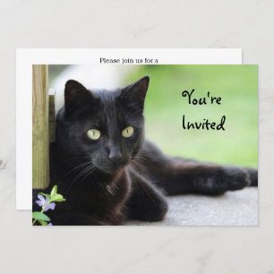 Invitation Jolie Black Cat Photo Anniversaire