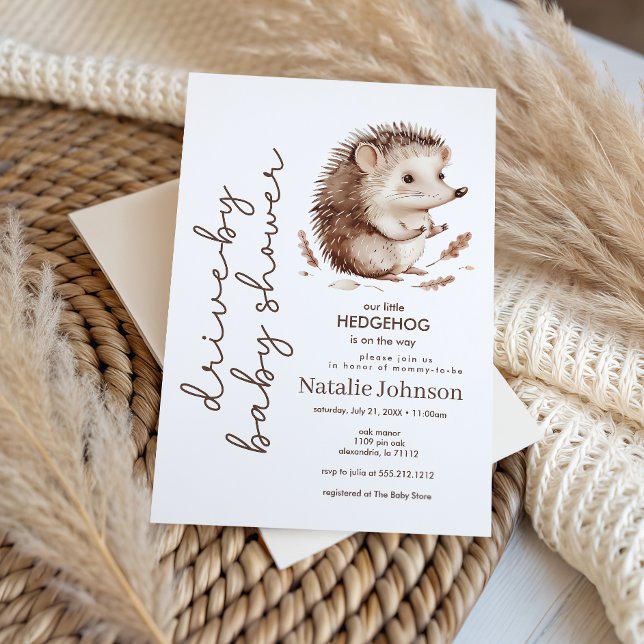 Invitation Jolie Douce Petite Hérisson Fête de Naissance Driv (Créateur téléchargé)