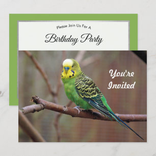 Invitation Jolie Perruche verte photo Anniversaire
