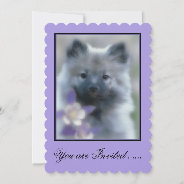 Invitation Keeshond et Columbine - Photo de chien (Devant)