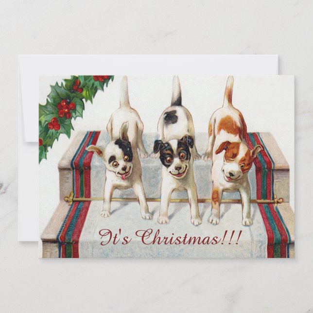 Invitation La fête de Noël de joli chien (Devant)