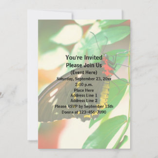 Invitation La nature des papillons noirs