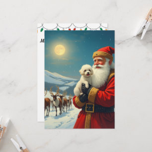 Invitation La perte d'un chien de compagnie à noël