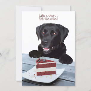 Invitation La vie est courte, manger le gâteau - Black Lab