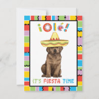 Laboratoire de chocolat Fiesta