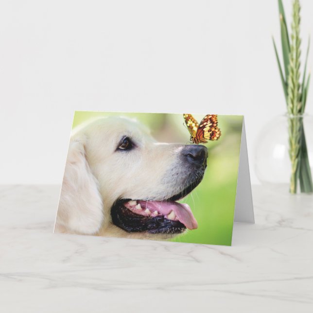Invitation Labrador And Butterfly Throw Pillow (Devant)