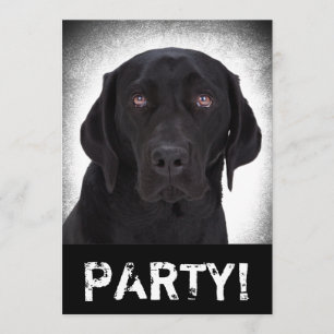 Invitation Labrador retriever