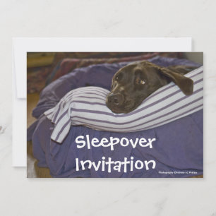 Invitation Labrador Retriever au lit
