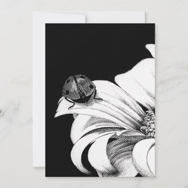 Invitation Ladybird (Devant)
