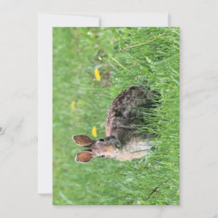 Invitation Lapin