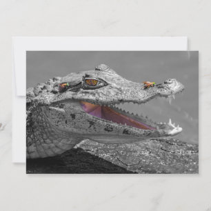 Invitation Le crocodile souriant et les mouches - Costa Rica