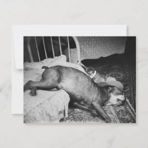 Invitation Le matin après Vintage drôle chien ivre