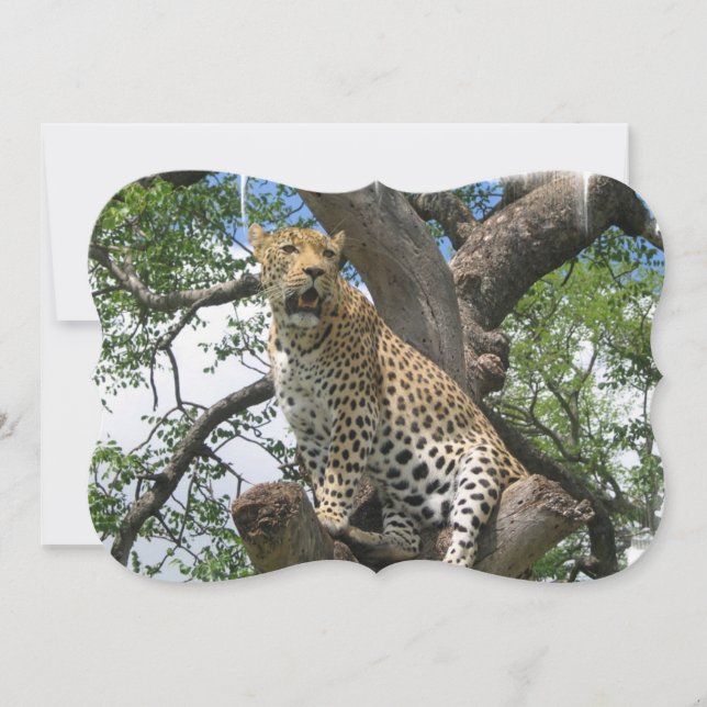 Invitation Léopard (Devant)