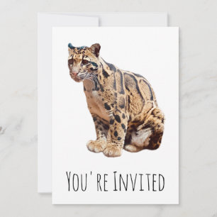 Invitation léopard nébuleux photographie jungle grand félin a
