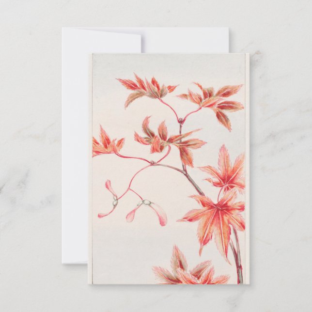 Invitation L'érable de Momiji avec Feuilles et semences de Me (Devant)