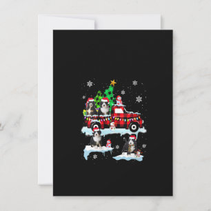 Invitation Les Femmes Père Noël Bernedoodle Sur Red Plaid Pic