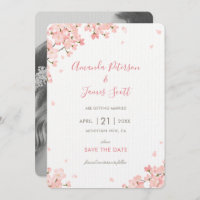 Les fleurs de cerisier japonaises roses de Sakura