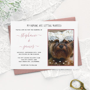 Invitation Les humains se marient Photo de mariage Rose Gold