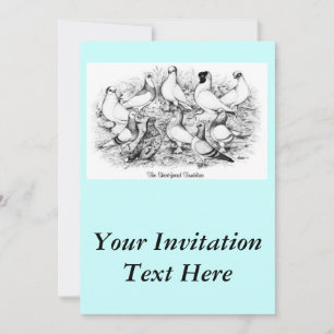 Invitation Les Tumblers à courte vue