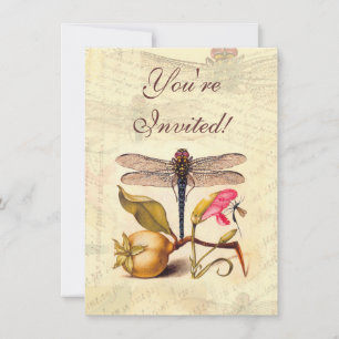 Invitation Libellule Botanique Nature Faune Hoefnagel Art