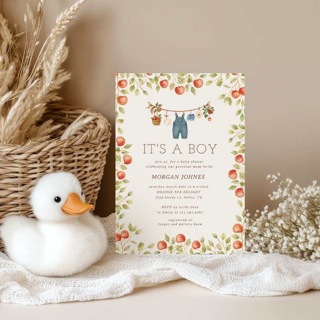 Invitation Linge de bébé de ferme Baby Shower (Créateur téléchargé)