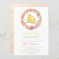 Little Chick Est Sur Le Point D'Attaquer Le Baby s