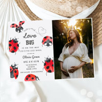 Little Log Baby shower Ladybug