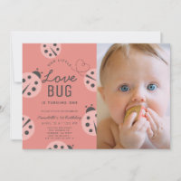 Little Log Bug Rose Ladybug 1er Anniversaire Photo