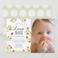 Little Love Bug Ladybug Girl Photo 1er Anniversair