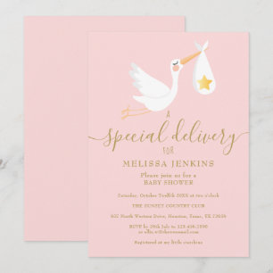 Invitation Livraison spéciale Sprinkle Baby Shower Cigogne Ro