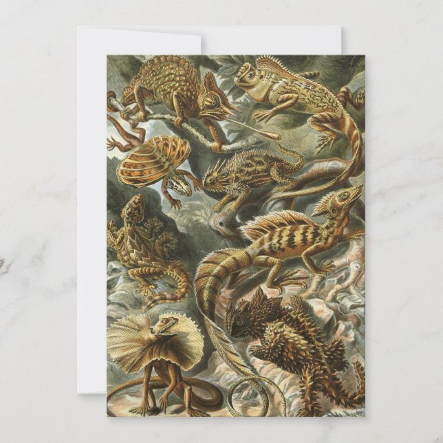 Invitation Lizards par Ernst Haeckel Vintage Lacertilia Anima (Devant)