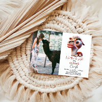 Llama Fiesta Funny Caricature 1er anniversaire