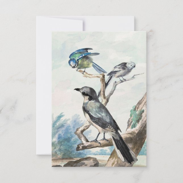 Invitation Long-tailed Tit, Blue Tit and Great Gray Shrike  (Devant)