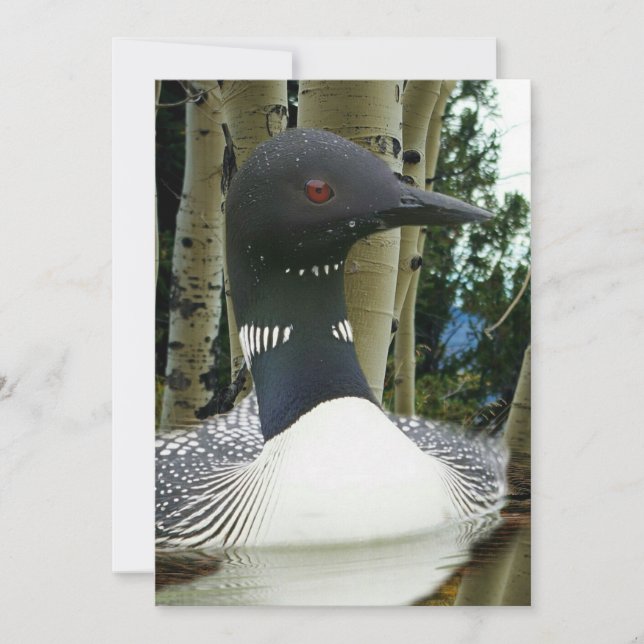 Invitation Loon sauvage (Devant)