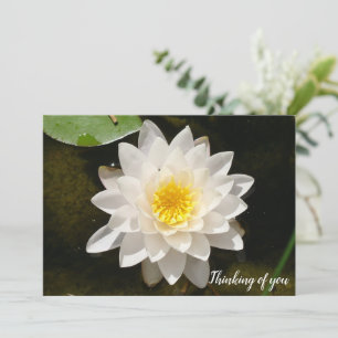 Invitation Lotus Nymphéa Flottant